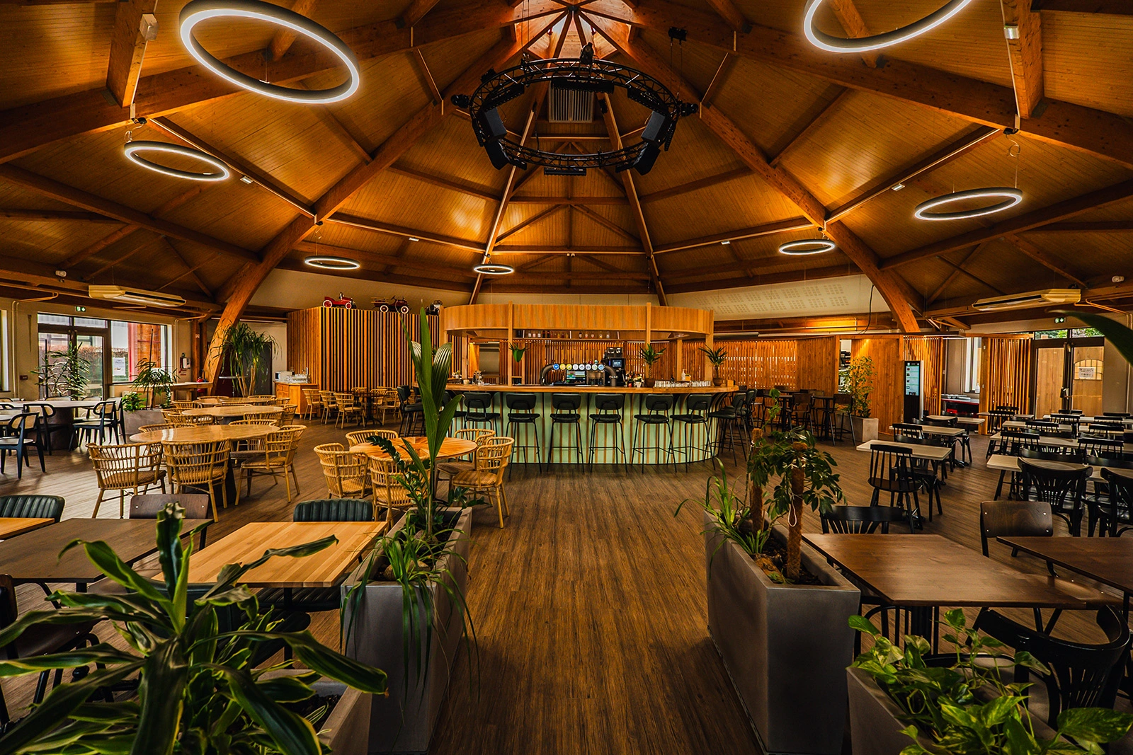 background cerf noir